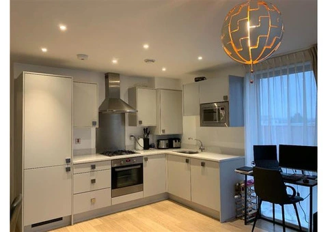 Best property management companies Croydon