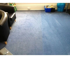 Window & Carpet Cleaning Services