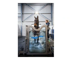 Benefits Of Water Treadmill For Horses - ECB Equine Spas
