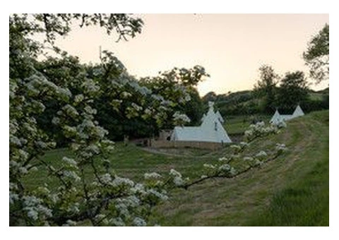 Enjoy Unique Glamping in North Devon – Book Your Getaway Now!