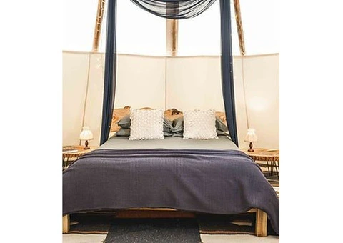 Book Your Glamping Experience in Devon – A Nature Lover’s Dream!