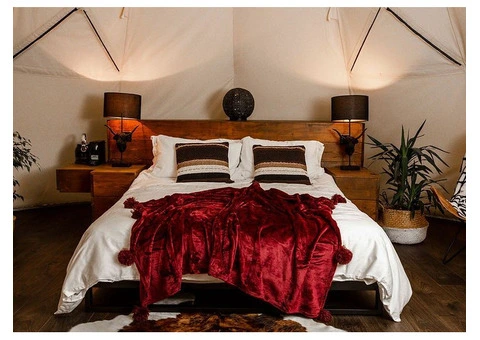 Enjoy the Ultimate Devon Glamping Experience – Stay with Us!