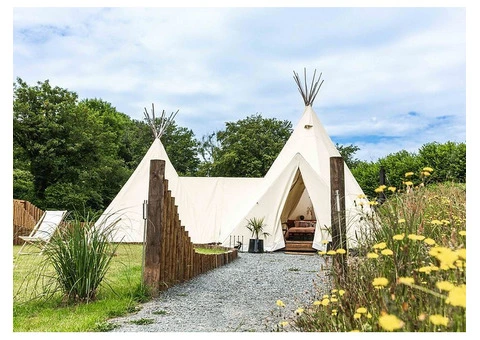 Discover Glamping in Devon – A Perfect Nature Retreat!