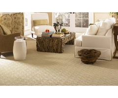 carpet cleaning services