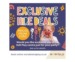 Birthday Party Newton Abbot- Wonderland Play
