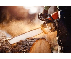 Tree Surgeon Cheshire  - Absolute Tree Care & Gardens