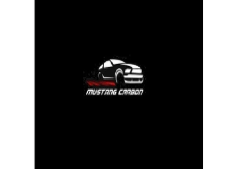 Mustang Ltd - 1/10