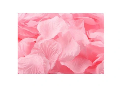 FLORALCRAFT Artificial Rose Petals - Pink | Michael Dark