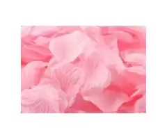 FLORALCRAFT Artificial Rose Petals - Pink | Michael Dark
