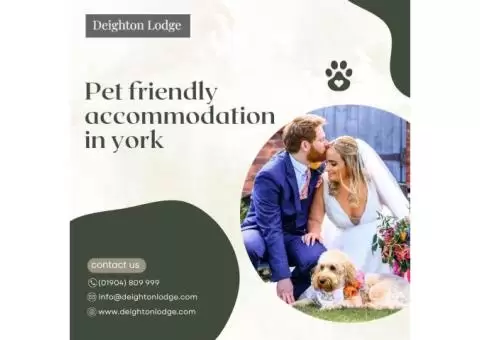 Pet friendly accommodation in york