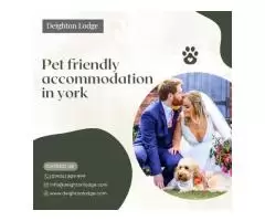 Pet friendly accommodation in york