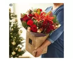 Christmas flowers with free delivery