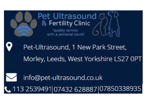 Progesterone Blood Test near me