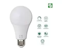 Motion Sensor Bulb