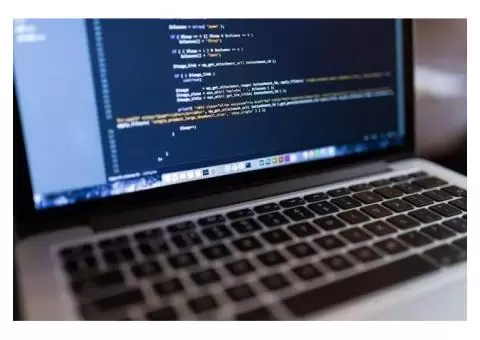 Professional Web Design Agency Near You