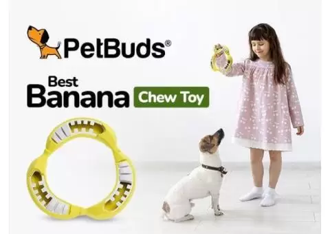 PetBuds Pet Teething Toys for Average Chewers | Circle Shape Teething Toys