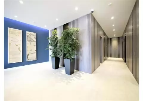 spacious luxurious one bedroom apartment - 1/8