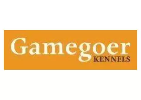 Professional Dog Training Services in Kidlington - Gamegoer Kennels