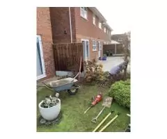 Trench landscapes