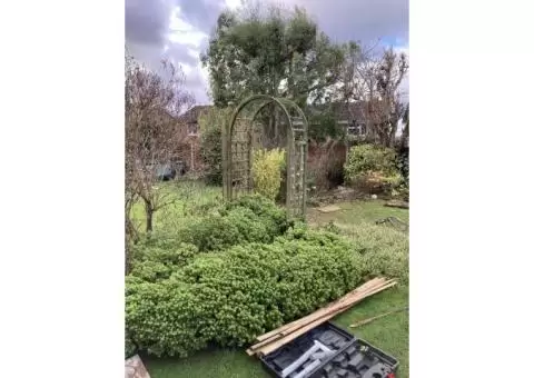 Trench landscapes - 2/30