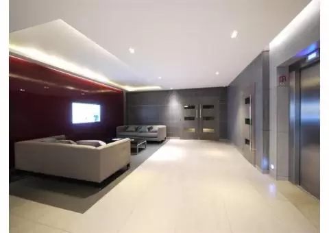 Beautiful & Spacious 2 Bedroom 2 bathroom Apartment - 9/11