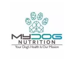 High-visibility dog training balls