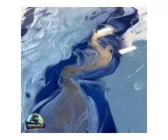 Kongcrete Coatings