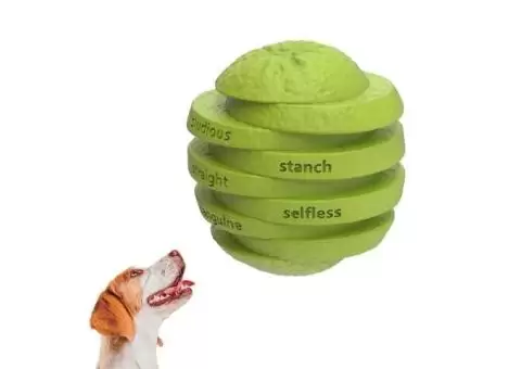 PetBuds Orange Interactive Dog Toy – Fun & Durable Chew Toy!