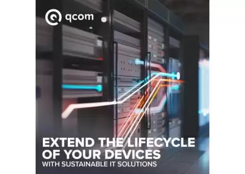 How Managed IT Support Services Contribute to Business Continuity and Growth