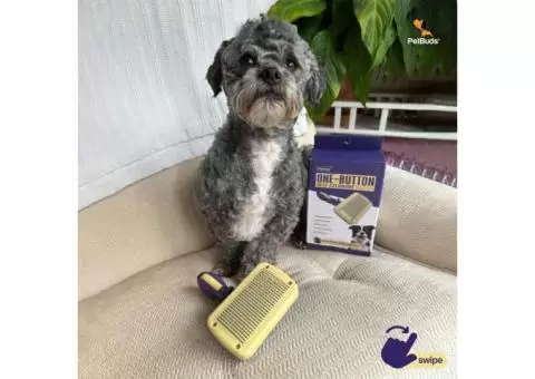 PetBuds Self-Cleaning Slicker Brush for Dogs & Cats Grooming