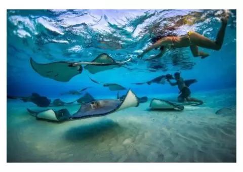 Discover the Best Vacation Rentals in the Caribbean for Your Dream Getaway - 10/19