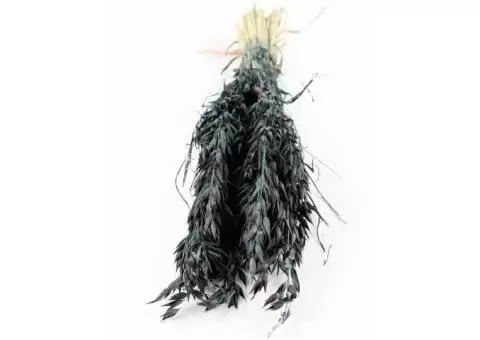 Buy Dried Oat Avena - Green/Black (100g, 60cm) | Rustic Dried Flowers for Decor - 2/3