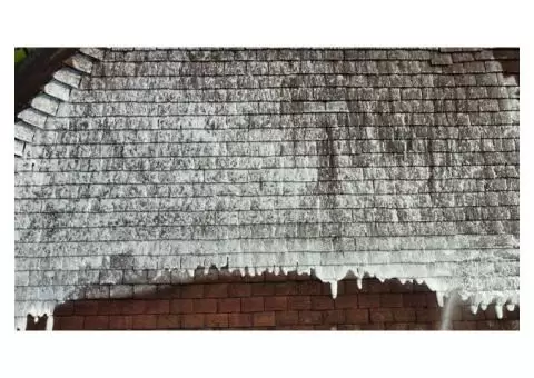 Soft Washing Services in Milton Keynes – Trusted Exterior Cleaning by A & R Cleaning