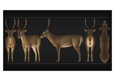 Mobile Game Development Services - 10/12