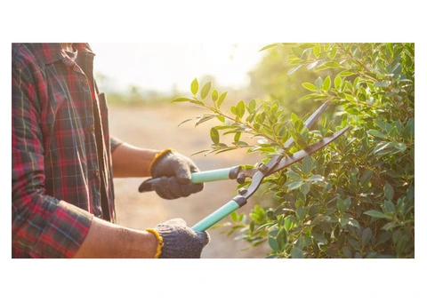 Reliable Property Maintenance Birmingham - 5/6