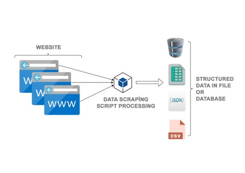 Get Accurate and Managed Data with Scraping Services