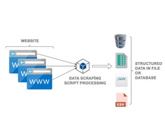 Get Accurate and Managed Data with Scraping Services