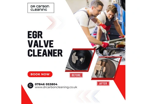 EGR Valve Cleaner