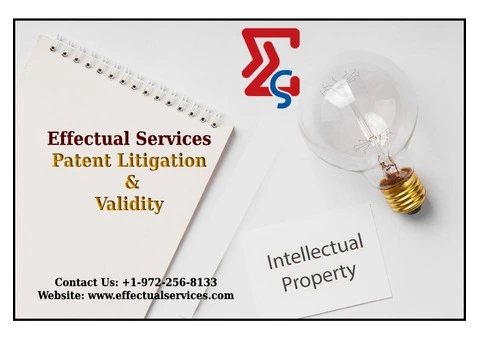 Patent Licensing and Litigation Support