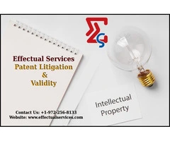 Patent Licensing and Litigation Support