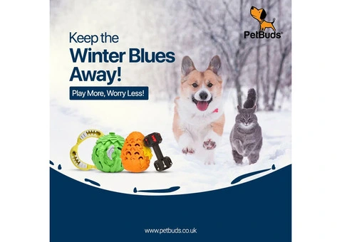 The Best Online Pet Shop for Indestructible Dog Toys & Accessories UK!