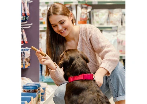 Wholesale Pet Products in Manchester – Bulk Supply at Unbeatable Prices!