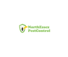 Get the Best Squirrel Control Service in Essex