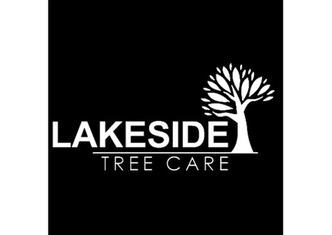 Trusted Tree Surgeons North West England – Quality Tree Care - 1/4