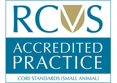 Emergency Vet in Brentwood | Tari Vets