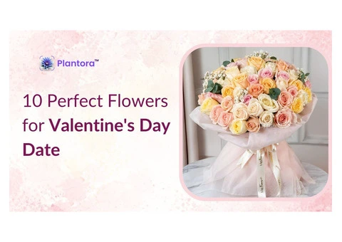 Perfect Flowers for Valentine’s Day Date.