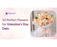 Perfect Flowers for Valentine’s Day Date.
