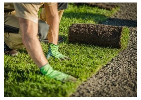 Paving & Driveways