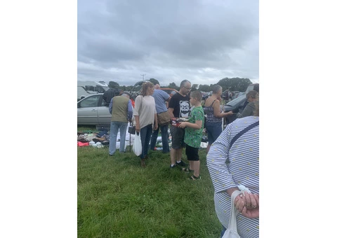 Weeting Saturday boot & Antique fair - 1/4