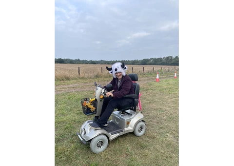 Weeting Saturday boot & Antique fair - 2/4